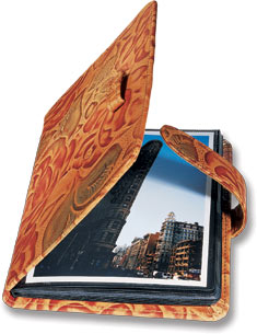 Click to see enlarged photo...