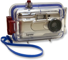 Click to see enlarged photo...